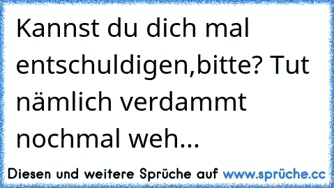 Kannst du dich mal entschuldigen,bitte? Tut nämlich verdammt nochmal weh...