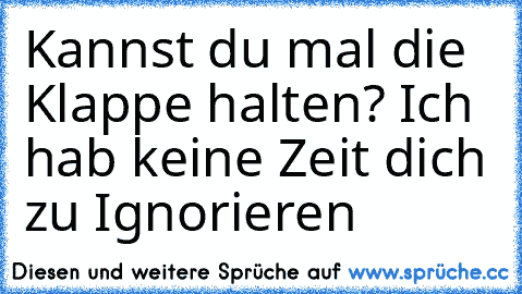 Kannst du mal die Klappe halten? Ich hab keine Zeit dich zu Ignorieren