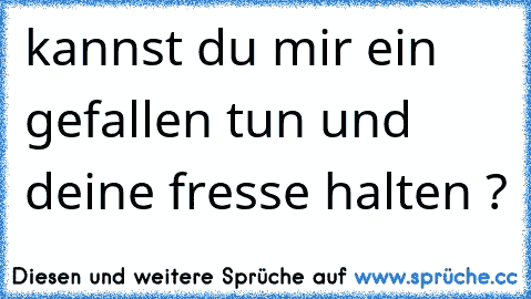 kannst du mir ein gefallen tun und deine fresse halten ?