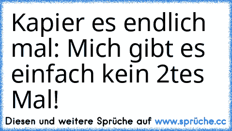 Kapier es endlich mal: Mich gibt es einfach kein 2tes Mal!