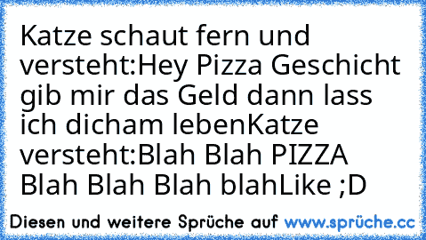 Katze schaut fern und versteht:
Hey Pizza Geschicht gib mir das Geld dann lass ich dich
am leben
Katze versteht:
Blah Blah PIZZA Blah Blah Blah blah
Like ;D