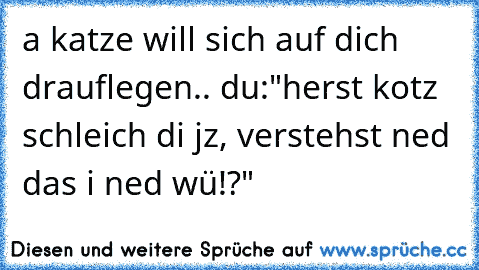 a katze will sich auf dich drauflegen.. du:"herst kotz schleich di jz, verstehst ned das i ned wü!?"