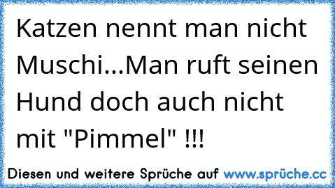 Katzen nennt man nicht Muschi...
Man ruft seinen Hund doch auch nicht mit "Pimmel" !!!