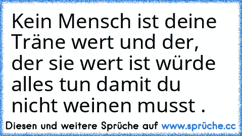 Kein Mensch ist deine Träne wert und der, der sie wert ist würde alles tun damit du nicht weinen musst ♥.