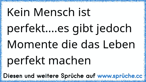 Kein Mensch ist perfekt....es gibt jedoch Momente die das Leben perfekt machen 