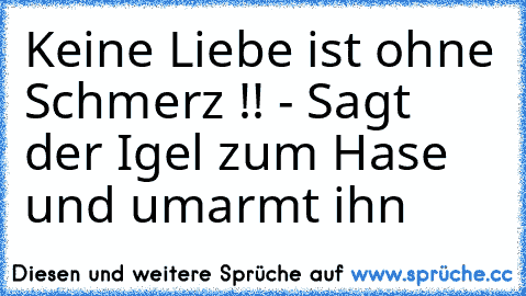 Keine Liebe ist ohne Schmerz !! - Sagt der Igel zum Hase und umarmt ihn