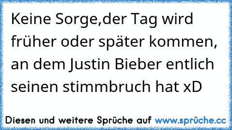 Keine Sorge,der Tag wird früher oder später kommen, an dem Justin Bieber entlich seinen stimmbruch hat xD