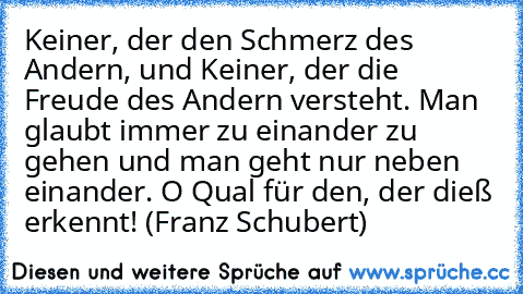 Keiner, der den Schmerz des Andern, und Keiner, der die Freude des Andern versteht. Man glaubt immer zu einander zu gehen und man geht nur neben einander. O Qual für den, der dieß erkennt! (Franz Schubert)