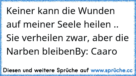 Keiner kann die Wunden auf meiner Seele heilen .. Sie verheilen zwar, aber die Narben bleiben
By: Caaro