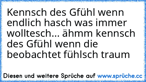 Kennsch des Gfühl wenn endlich hasch was immer wolltesch... ähmm kennsch des Gfühl wenn die beobachtet fühlsch traum ♥