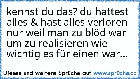 kennst du das? du hattest alles & hast alles verloren nur weil man zu blöd war um zu realisieren wie wichtig es für einen war...