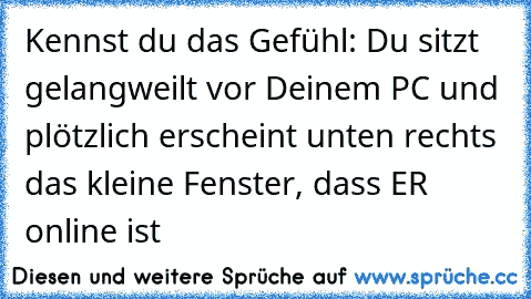 Kennst du das Gefühl: Du sitzt gelangweilt vor Deinem PC und plötzlich erscheint unten rechts das kleine Fenster, dass ER online ist ♥