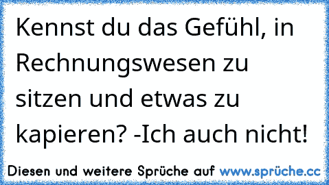 Kennst du das Gefühl, in Rechnungswesen zu sitzen und etwas zu kapieren? -Ich auch nicht!