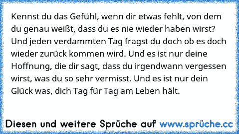 Kennst du das Gefühl, wenn dir etwas fehlt, von dem du genau weißt, dass du es nie wieder haben wirst? Und jeden verdammten Tag fragst du doch ob es doch wieder zurück kommen wird. Und es ist nur deine Hoffnung, die dir sagt, dass du irgendwann vergessen wirst, was du so sehr vermisst. Und es ist nur dein Glück was, dich Tag für Tag am Leben hält.