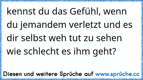 kennst du das Gefühl, wenn du jemandem verletzt und es dir selbst weh tut zu sehen wie schlecht es ihm geht?