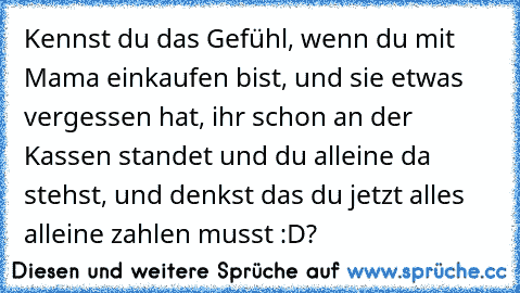 Kennst du das Gefühl, wenn du mit Mama einkaufen bist, und sie etwas vergessen hat, ihr schon an der Kassen standet und du alleine da stehst, und denkst das du jetzt alles alleine zahlen musst :D?