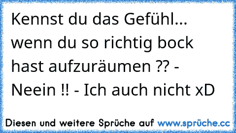 Kennst du das Gefühl... wenn du so richtig bock hast aufzuräumen ?? - Neein !! - Ich auch nicht xD