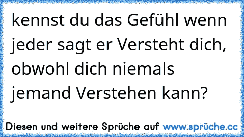 kennst du das Gefühl wenn jeder sagt er Versteht dich, obwohl dich niemals jemand Verstehen kann?