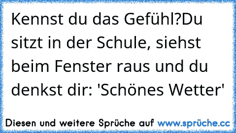 Kennst du das Gefühl?
Du sitzt in der Schule, siehst beim Fenster raus und du denkst dir: 'Schönes Wetter'