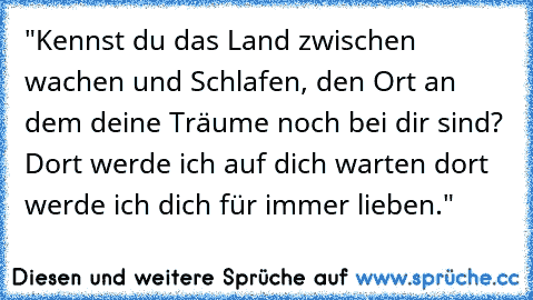 "Kennst du das Land zwischen wachen und Schlafen, den Ort an dem deine Träume noch bei dir sind? Dort werde ich auf dich warten dort werde ich dich für immer lieben."