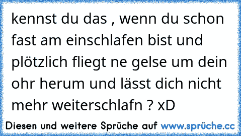 kennst du das , wenn du schon fast am einschlafen bist und plötzlich fliegt ne gelse um dein ohr herum und lässt dich nicht mehr weiterschlafn ? xD