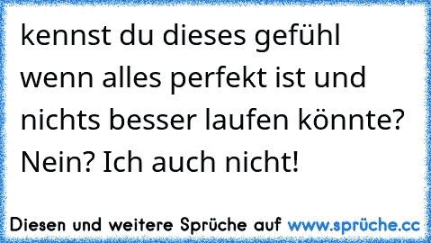 kennst du dieses gefühl wenn alles perfekt ist und nichts besser laufen könnte? Nein? Ich auch nicht!