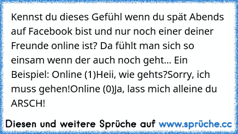 Kennst du dieses Gefühl wenn du spät Abends auf Facebook bist und nur noch einer deiner Freunde online ist? Da fühlt man sich so einsam wenn der auch noch geht... Ein Beispiel: Online (1)
Heii, wie gehts?
Sorry, ich muss gehen!
Online (0)
Ja, lass mich alleine du ARSCH!