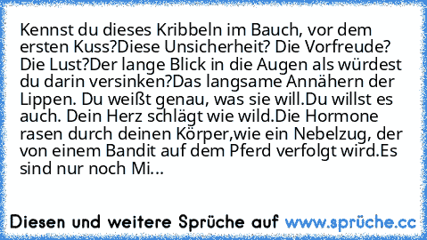 Kennst du dieses Kribbeln im Bauch, vor dem ersten Kuss?
Diese Unsicherheit? Die Vorfreude? Die Lust?
Der lange Blick in die Augen als würdest du darin versinken?
Das langsame Annähern der Lippen. Du weißt genau, was sie will.
Du willst es auch. Dein Herz schlägt wie wild.
Die Hormone rasen durch deinen Körper,
wie ein Nebelzug, der von einem Bandit auf dem Pferd verfolgt wird.
Es sind nur noch Mi...