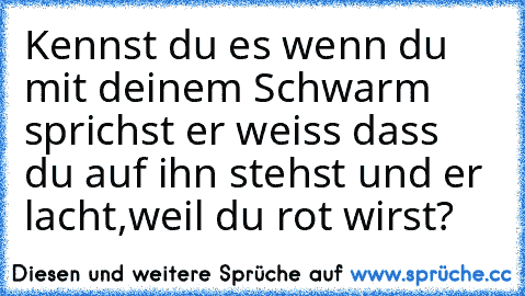 Kennst du es wenn du mit deinem Schwarm sprichst er weiss dass du auf ihn stehst und er lacht,weil du rot wirst?