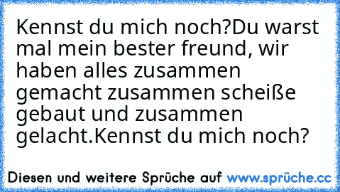 Kennst du mich noch?
Du warst mal mein bester freund, wir haben alles zusammen gemacht zusammen scheiße gebaut und zusammen gelacht.
Kennst du mich noch?