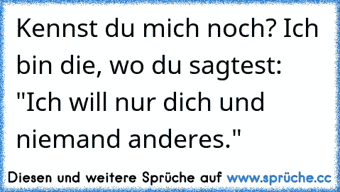 Kennst du mich noch? Ich bin die, wo du sagtest: "Ich will nur dich und niemand anderes."