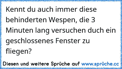 Kennt du auch immer diese behinderten Wespen, die 3 Minuten lang versuchen duch ein geschlossenes Fenster zu fliegen?