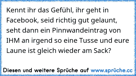 Kennt ihr das Gefühl, ihr geht in Facebook, seid richtig gut gelaunt, seht dann ein Pinnwandeintrag von IHM an irgend so eine Tusse und eure Laune ist gleich wieder am Sack?