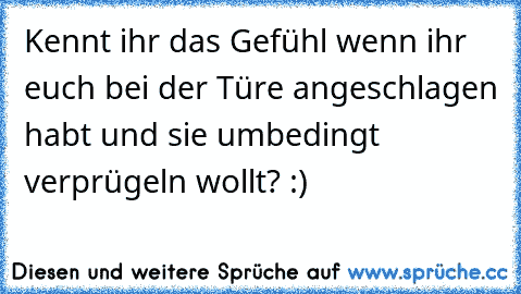 Kennt ihr das Gefühl wenn ihr euch bei der Türe angeschlagen habt und sie umbedingt verprügeln wollt? :)