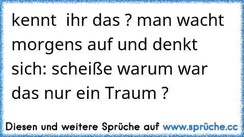 kennt  ihr das ? 
man wacht morgens auf und denkt sich: 
scheiße warum war das nur ein Traum ?