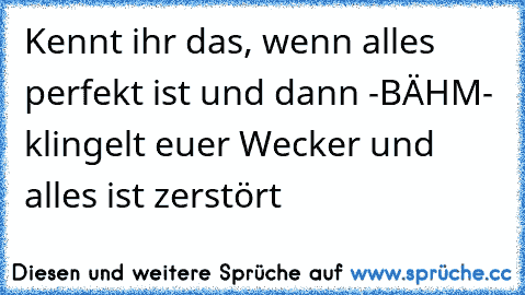 Kennt ihr das, wenn alles perfekt ist und dann -BÄHM- klingelt euer Wecker und alles ist zerstört