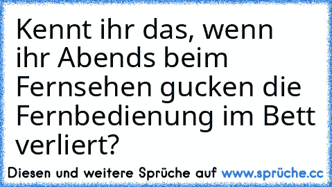 Kennt ihr das, wenn ihr Abends beim Fernsehen gucken die Fernbedienung im Bett verliert?