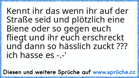 Kennt ihr das wenn ihr auf der Straße seid und plötzlich eine Biene oder so gegen euch fliegt und ihr euch erschreckt und dann so hässlich zuckt ??? ich hasse es -.-'