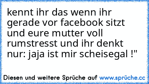 kennt ihr das wenn ihr gerade vor facebook sitzt und eure mutter voll rumstresst und ihr denkt nur: jaja ist mir scheisegal !"