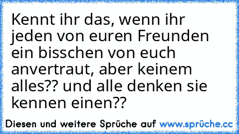 Kennt ihr das, wenn ihr jeden von euren Freunden ein bisschen von euch anvertraut, aber keinem alles?? und alle denken sie kennen einen??