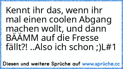 Kennt ihr das, wenn ihr mal einen coolen Abgang machen wollt, und dann BÄÄMM auf die Fresse fällt?! ..Also ich schon ;)
L#1