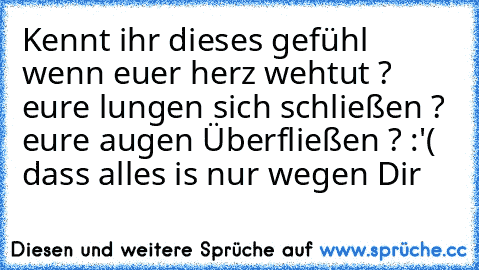 Kennt ihr dieses gefühl wenn euer herz wehtut ? eure lungen sich schließen ? eure augen Überfließen ? :'( dass alles is nur wegen Dir