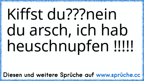 Kiffst du???
nein du arsch, ich hab heuschnupfen !!!!!