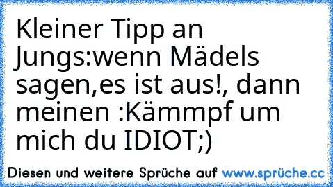 Kleiner Tipp an Jungs:wenn Mädels sagen,es ist aus!, dann meinen :Kämmpf um mich du IDIOT;)