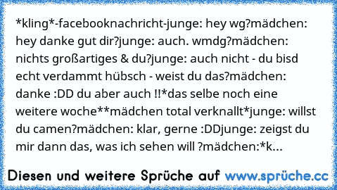 *kling*
-facebooknachricht-
junge: hey wg?
mädchen: hey danke gut dir?
junge: auch. wmdg?
mädchen: nichts großartiges & du?
junge: auch nicht - du bisd echt verdammt hübsch - weist du das?
mädchen: danke :DD du aber auch !!
*das selbe noch eine weitere woche*
*mädchen total verknallt*
junge: willst du camen?
mädchen: klar, gerne :DD
junge: zeigst du mir dann das, was ich sehen will ?
mädchen:*k...