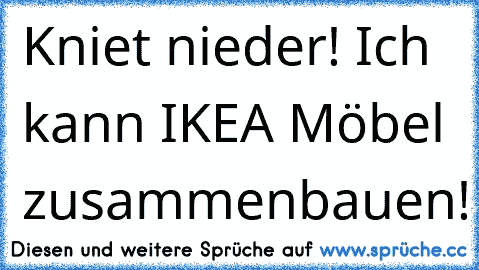 Kniet nieder! Ich kann IKEA Möbel zusammenbauen!