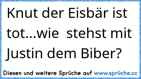 Knut der Eisbär ist tot...wie  stehst mit Justin dem Biber?