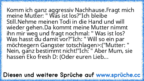 Komm ich ganz aggressiv Nachhause.
Fragt mich meine Mutter: " Was ist los?"
Ich bleibe Still.
Nehme meinen Todi in die Hand und will wieder gehen.
Da kommt meine Mutter nimmt ihn mir weg und fragt nochmal: " Was ist los? Was hasst du damit vor?"
Ich: " Will so ein par möchtegern Gangster totschlagen>:("
Mutter: " Nein, ganz bestimmt nicht!"
Ich: " Aber Mum, sie hassen Eko fresh D: (Oder euren L...