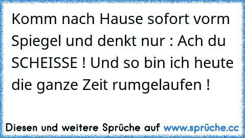 Komm nach Hause sofort vorm Spiegel und denkt nur : Ach du SCHEISSE ! Und so bin ich heute die ganze Zeit rumgelaufen !