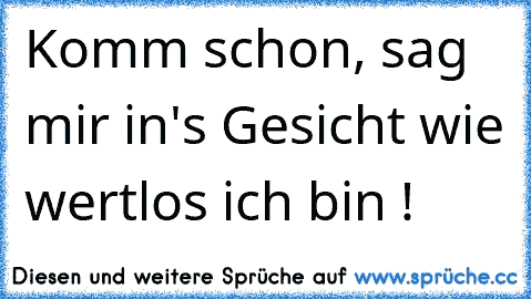 Komm schon, sag mir in's Gesicht wie wertlos ich bin !